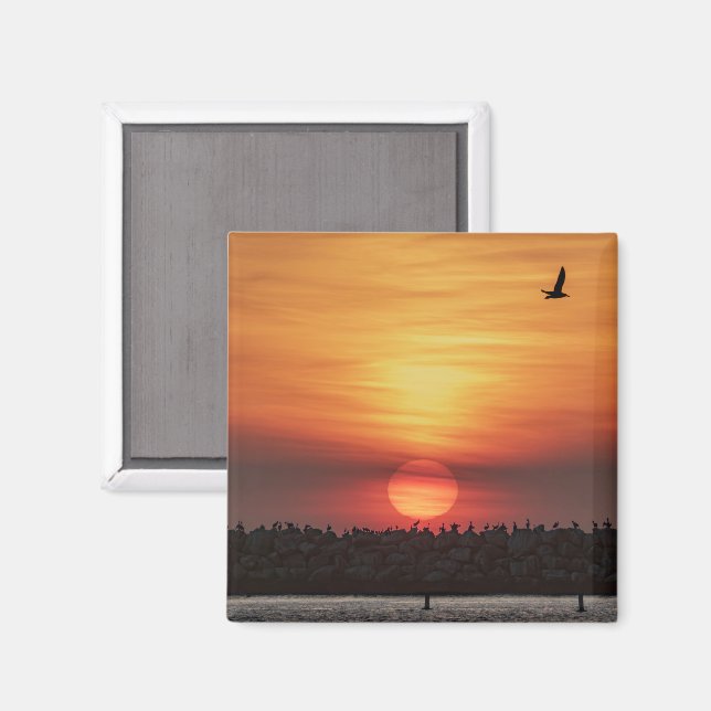 Schöne Sonnenuntergangsfarben - Marina Del Rey, CA Magnet (Vorderseite/Rückseite)