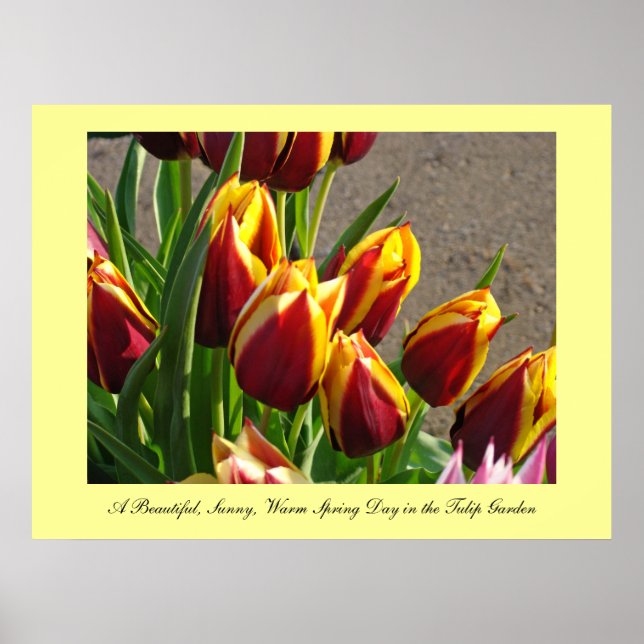 Schöne sonnige Sonnenterrasse Frühlingstag Kunst,  Poster (Vorne)