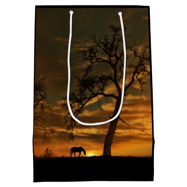 Schöne Southwestern Horse Geschenktasche Mittlere Geschenktüte (Rückseite)