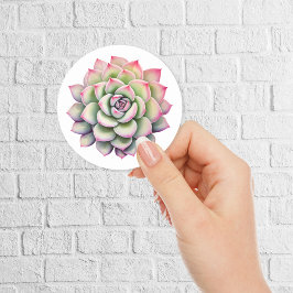 Schöne Sukkuline Blume Wasserfarbe Runder Aufkleber