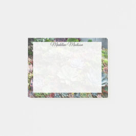 Schöne Sukkulturen Post-it Klebezettel