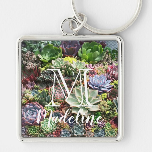 Schöne Sukkulturen Schlüsselanhänger (Vorne)