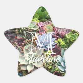 Schöne Sukkulturen Stern-Aufkleber