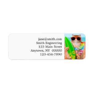 Schöne Surfer Katze am Strand