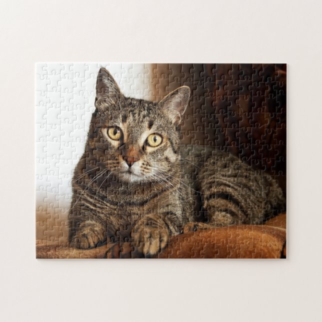 Schöne Tabby-Katze Puzzle (Horizontal)
