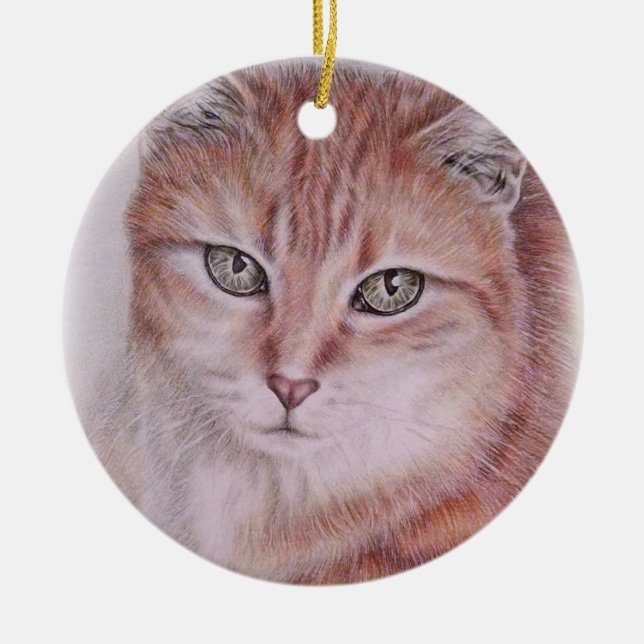 Schöne Tabby-Katzen-Kunst, die für Keramikornament (Vorne)