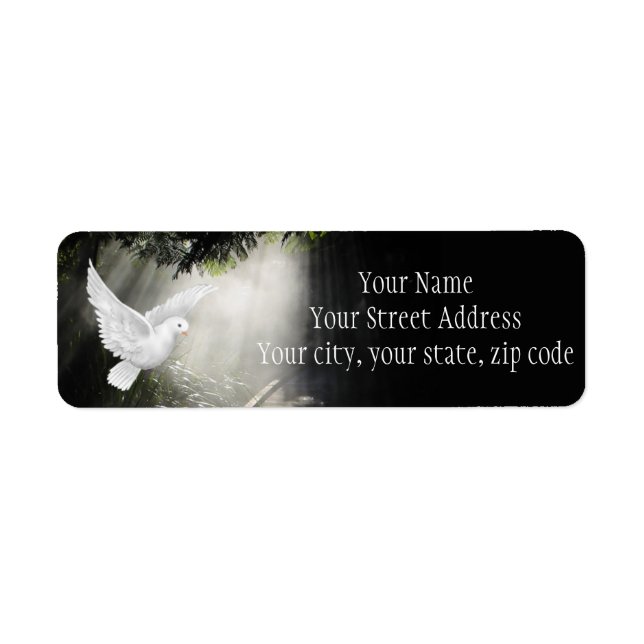 Schöne Taube im Sonnenlicht (Vorne)