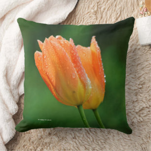 Schöne taufeuchte pastellorange Tulpen Kissen