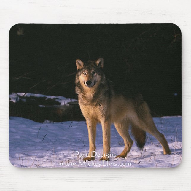 schöne Tiere vom wilden Mousepad (Vorne)