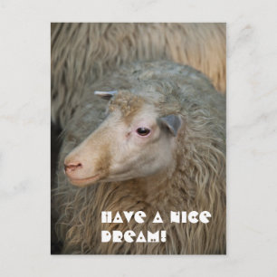 Schöne Traum Postkarte
