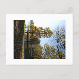 Schöne Tree Postcard Postkarte