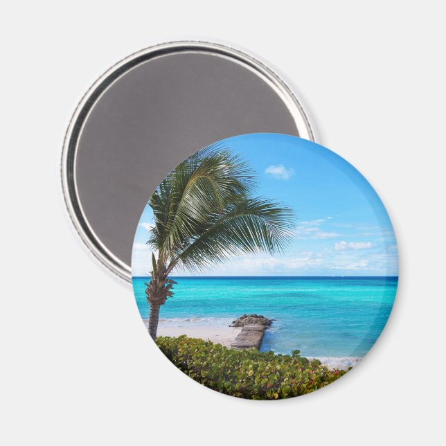 Schöne tropische Strandbrise Palmenbaum Magnet (Vorderseite/Rückseite)