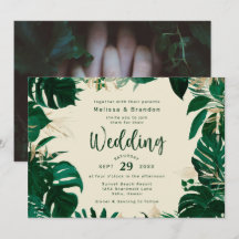 Schöne tropische Vegetation und eine horizontale H