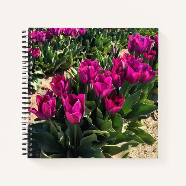 Schöne Tulips Notizbuch (Vorderseite)