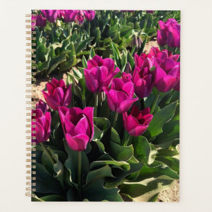 Schöne Tulips Planer