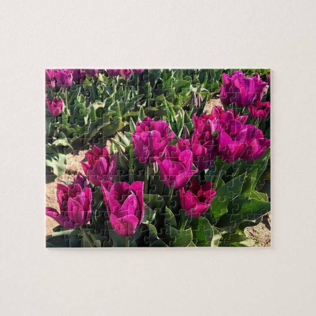 Schöne Tulips Puzzle (Horizontal)