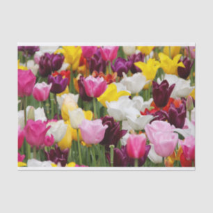 Schöne Tulips Seidenpapier