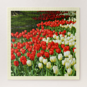 Schöne Tulpen Puzzle