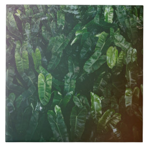 Schöne u. elegante tropische fliese