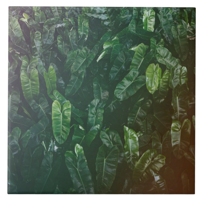 Schöne u. elegante tropische fliese (Vorderseite)