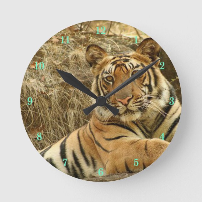 Schöne Uhr der Wildtiere (Vorderseite)