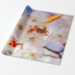 Schöne und elegante Sakura-Blume Geschenkpapier