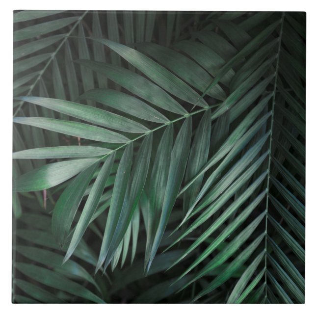 Schöne und elegante tropische Blätter Keramik Tile Fliese (Vorderseite)