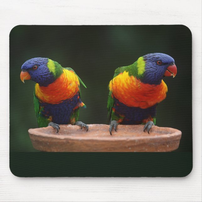 Schöne und farbenfrohe blaue Grüne und orangefarbe Mousepad (Vorne)
