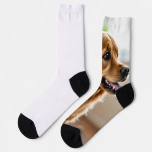 Schöne und hübsche Hundedesign auf Socken