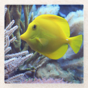Schöne Unterwasser Gelben Tang Fisch und Korallen Glasuntersetzer
