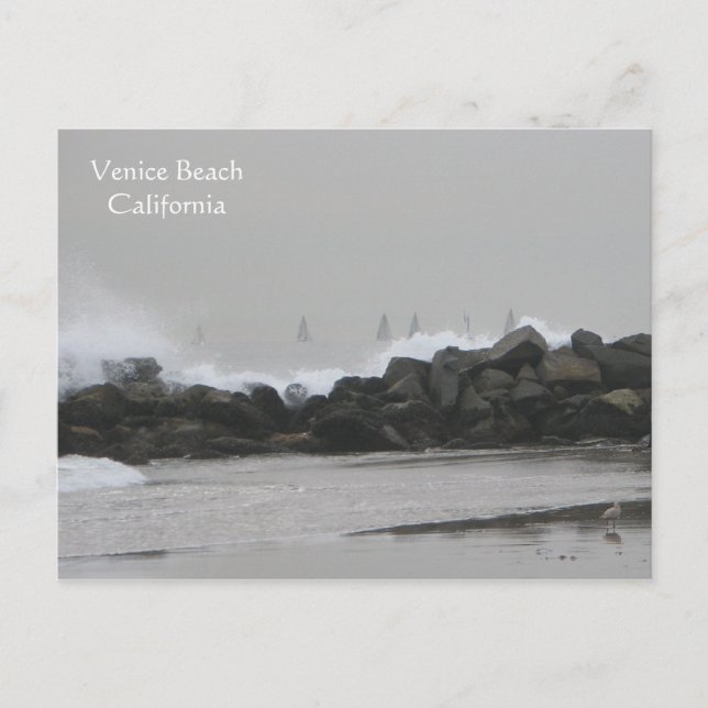 Schöne Venedig Beach Postacard! Postkarte (Vorderseite)