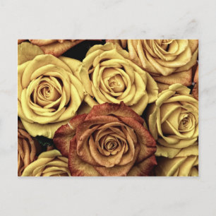 Schöne, verblichene Rose Vintage Blumenstrauß Postkarte