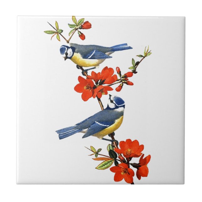Schöne Vintage Baumblüte Rote Blume Vögel Fliese (Vorderseite)