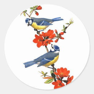 Schöne Vintage-Baumblüten rote Blumen Vögel Runder Aufkleber