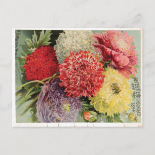 Schöne Vintage Blume (1894) Postkarte