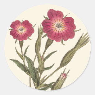 Schöne Vintage Blume Antike botanische Zeit Runder Aufkleber