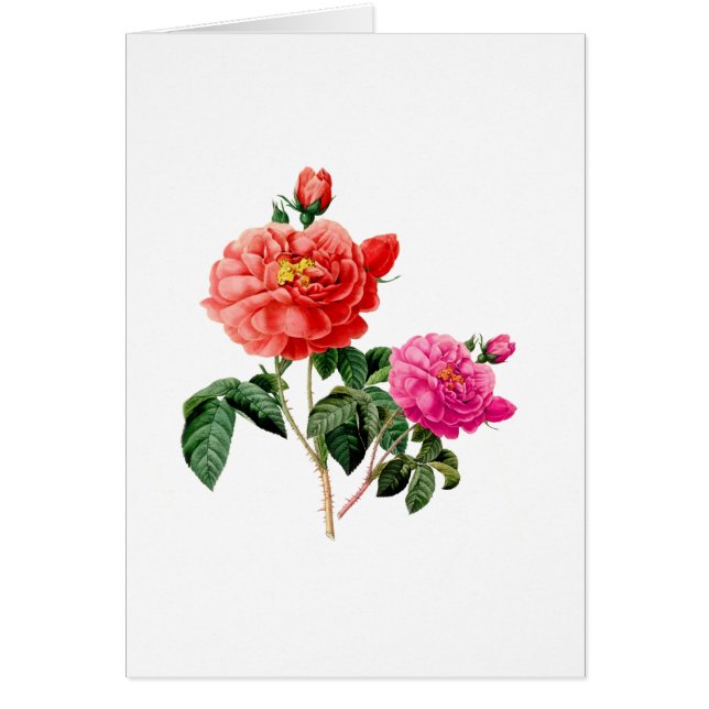 schöne, Vintage Blume in Rot und Rosa (Vorne)