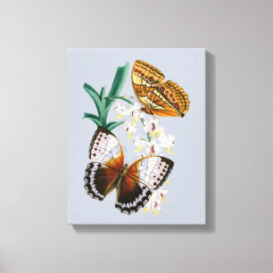 Schöne Vintage-Blumen-Schmetterling-Illustration Leinwanddruck