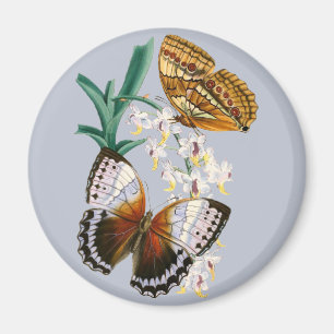 Schöne Vintage-Blumen-Schmetterling-Illustration Magnet