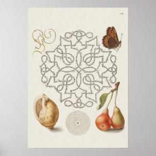 Schöne Vintage botanische Illustration Poster
