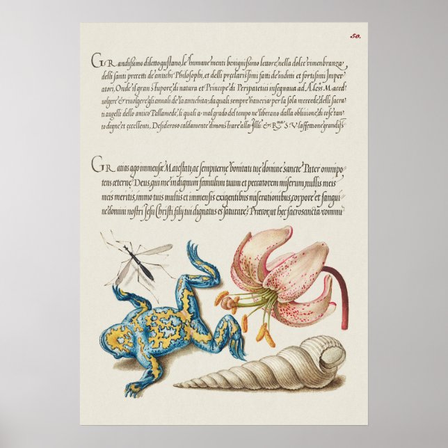 Schöne Vintage botanische Illustration Poster (Vorne)