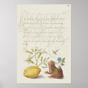 Schöne Vintage botanische Illustration Poster