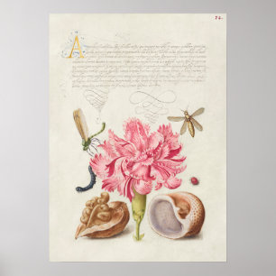 Schöne Vintage botanische Illustration Poster