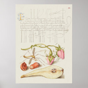 Schöne Vintage botanische Illustration Poster
