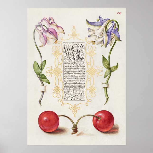 Schöne Vintage botanische Illustration Poster (Vorne)