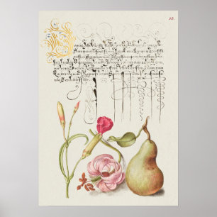 Schöne Vintage botanische Illustration Poster
