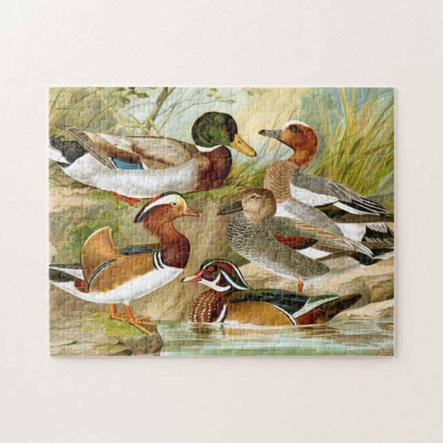 Schöne Vintage Enten Puzzle (Horizontal)