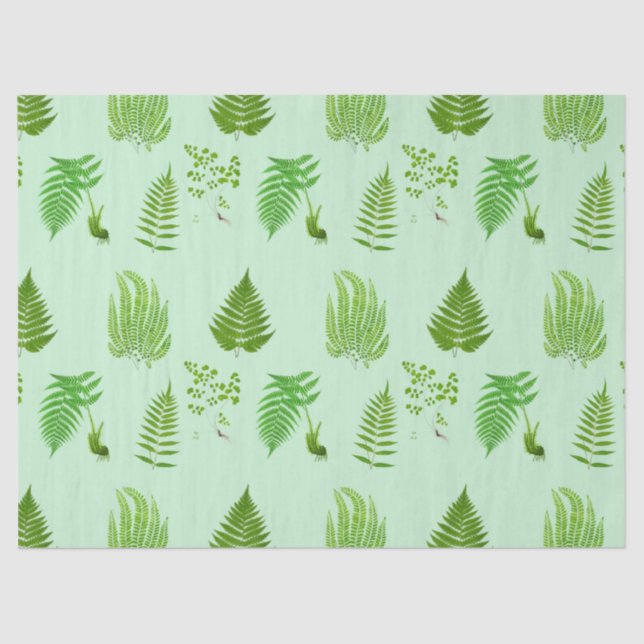 Schöne Vintage Farne Bilder Seidenpapier (Vorderseite)