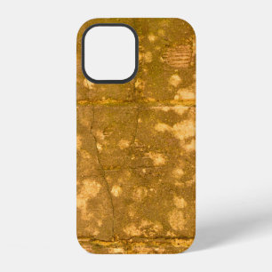 Schöne Vintage-Hintergrund. Abstrakte Grunge-Deko iPhone 12 Hülle