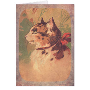 Schöne Vintage Kitty